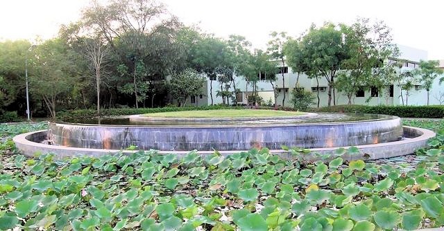 Lotus Pond